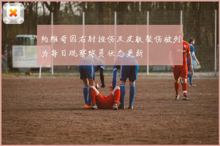 约维奇因右肘挫伤及皮肤裂伤被列为每日观察球员状态更新