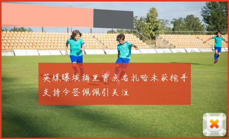 英媒曝埃梅里曾点名扎哈未获枪手支持今签佩佩引关注